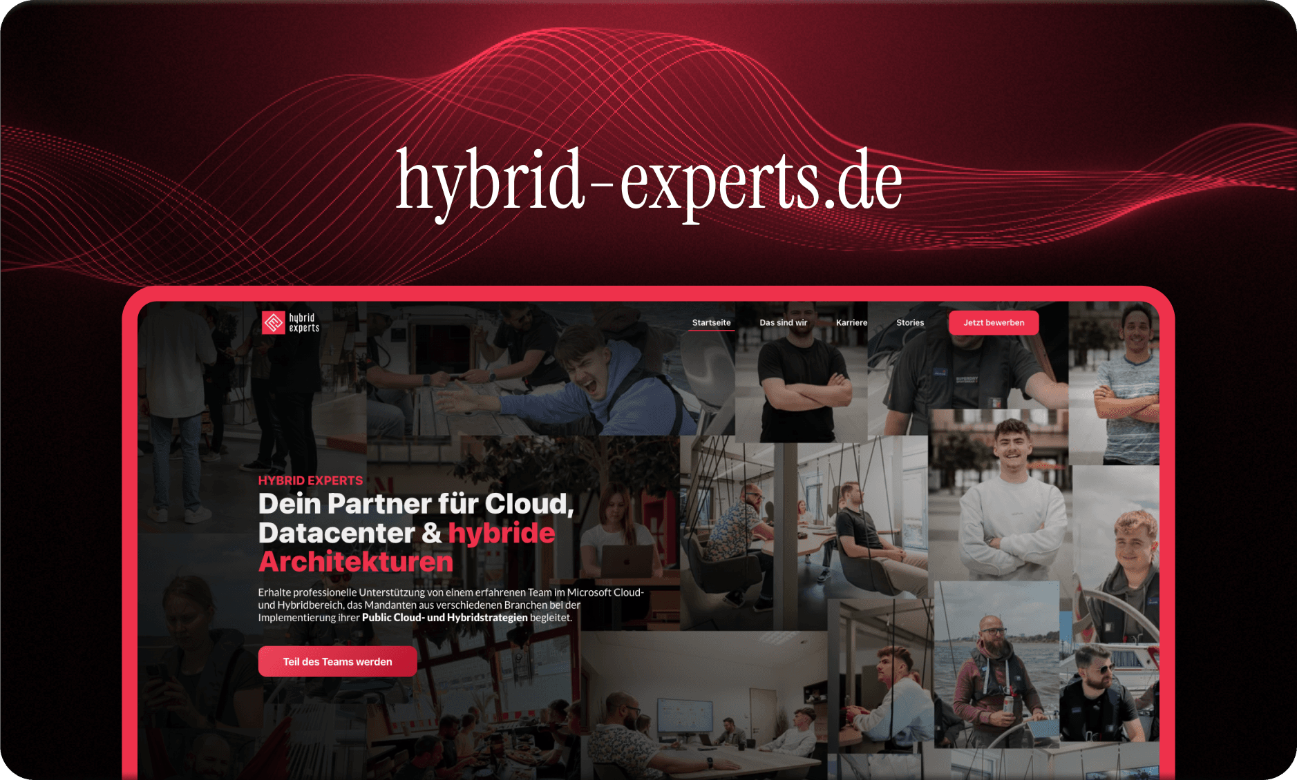 hybrid experts